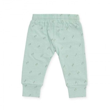 05a34409 c36c 4709 b931 93a9080bf771