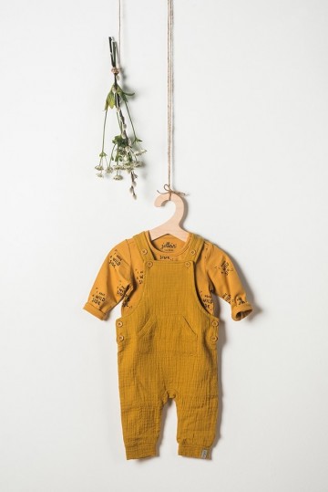 49a881c6 b9c5 4cc6 b50c 8369c523db65