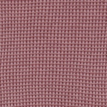 Lodger Krabwantjes Ciumbelle [ Nocture ]