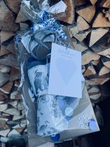 5d2c2300 809f 4e2d bb87 eba68a0ccf0c