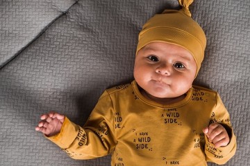 67196376 fd42 4311 9fa1 680bad2e2ecc