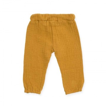 76d136f7 3a98 470b 8906 ee2d5ed0f254