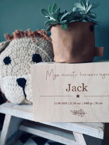 B808fbd8 fb12 4529 a5fd 0ca858e721d6