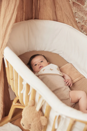 Ca0b908d 5108 4337 aed9 ae0113e683eb