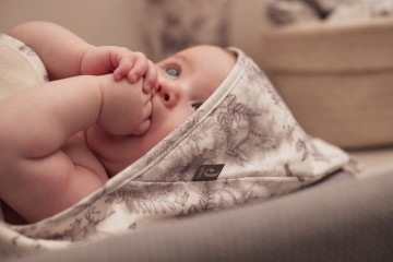 Jollein wikkeldeken   pimpelmees    forest animals  4