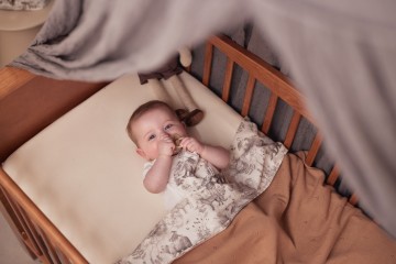 Jolleinspeendoekje   pimpelmees   forest animals  4